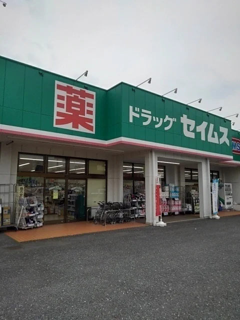 セイムス牛浜店まで220m