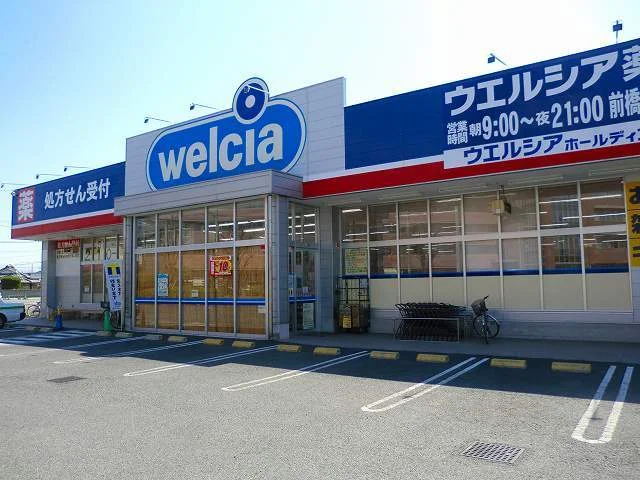 ウエルシア薬局前橋上新田店まで400m