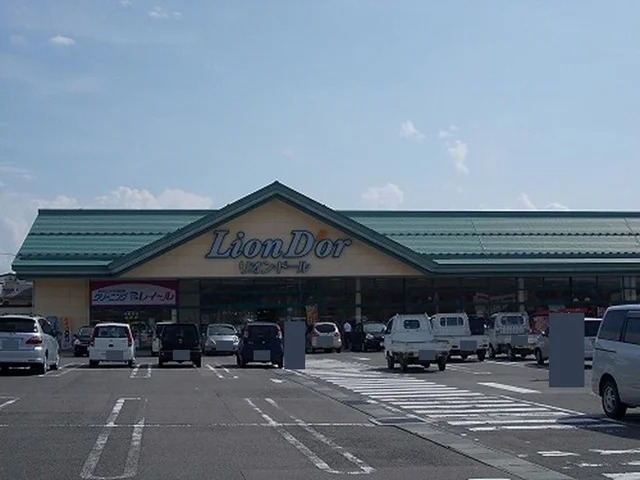 リオンドール河東店まで1800m