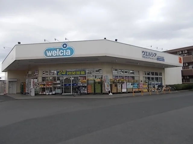 ウエルシア水戸平須店まで1300m
