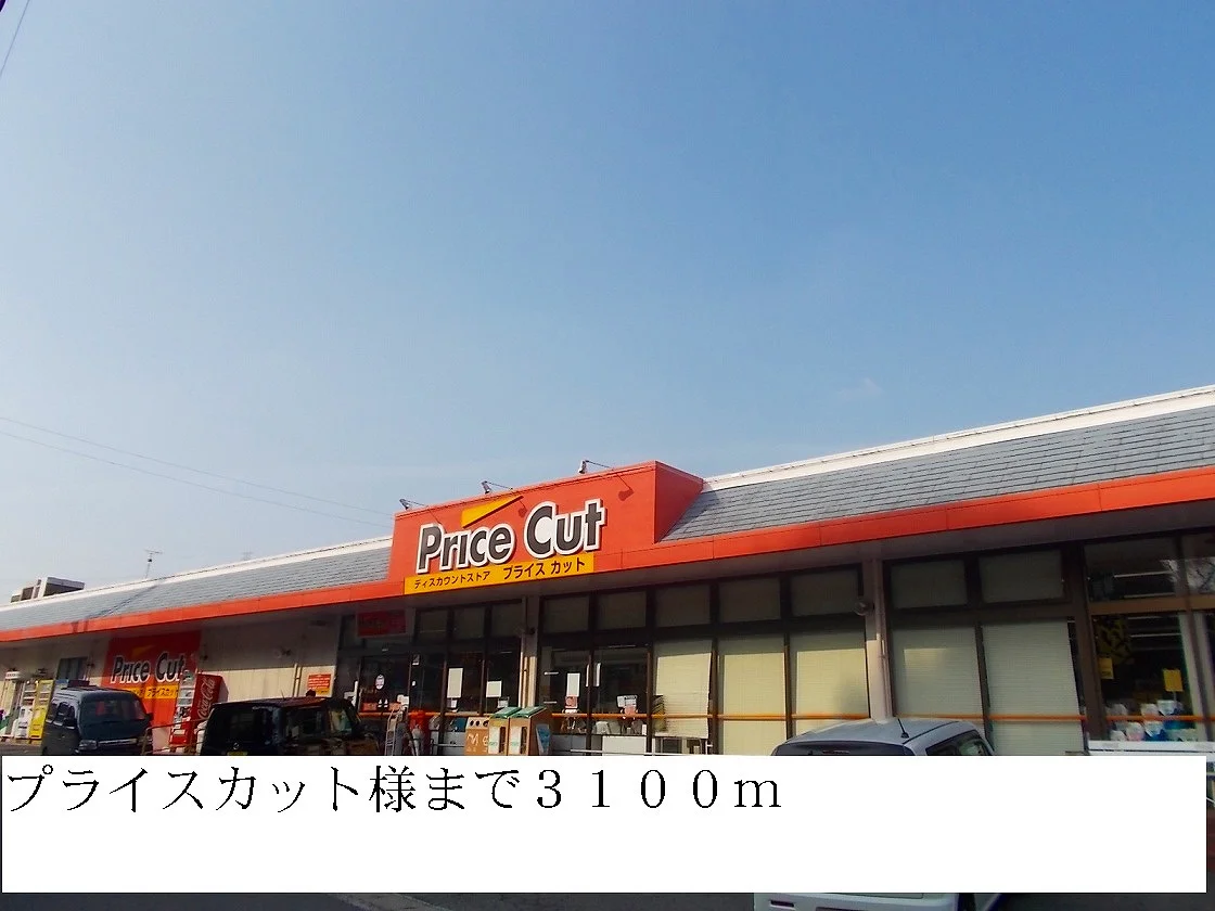 プライスカットまで3100m