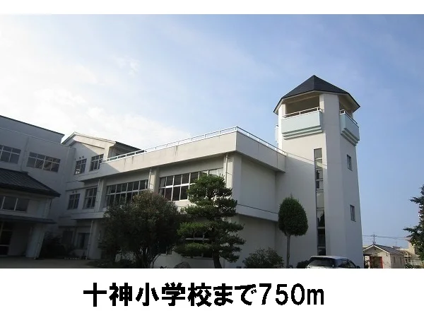 十神小学校まで750m