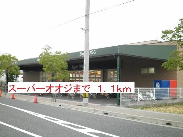 スーパーオオジまで1100m
