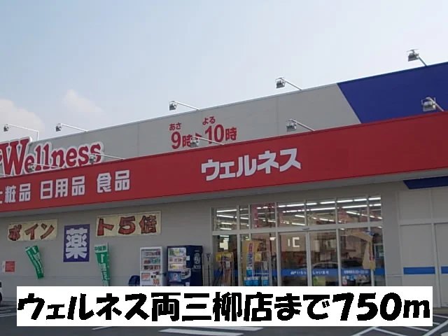 ウェルネス両三柳店まで750m