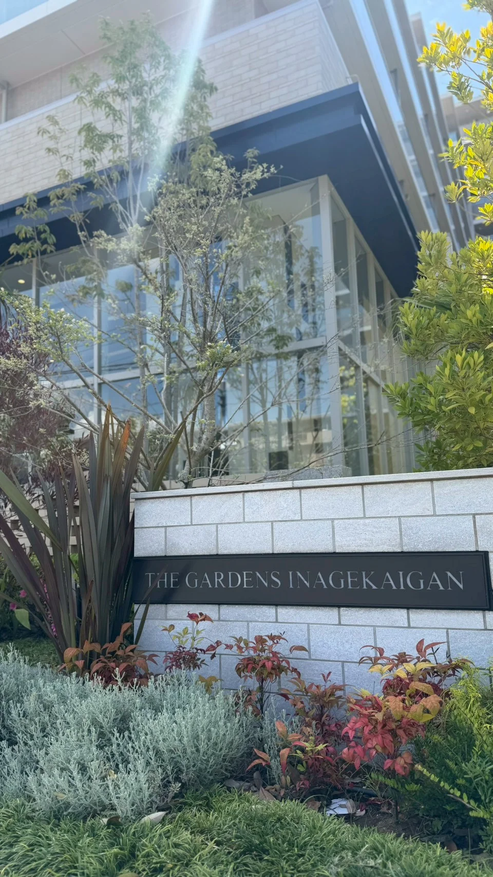 手入れされた植栽です。