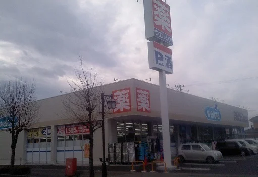 ウエルシア梁川店まで1100m