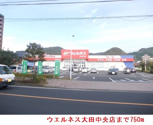 ウエルネス大田中央店まで750m
