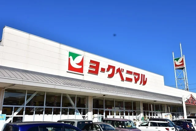 ヨークベニマル小野プラザ店まで650m