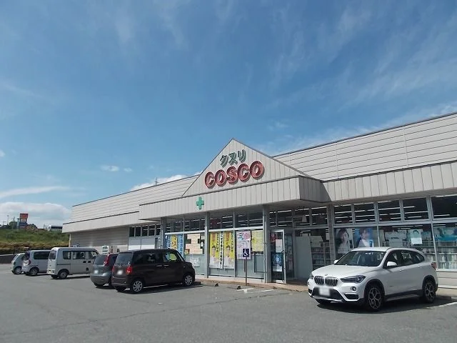 ドラッグ・コスコ  富士見店まで1100m