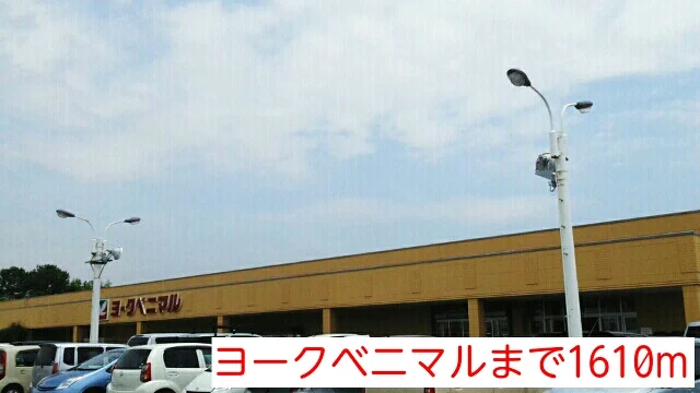 ヨークベニマルまで1610m
