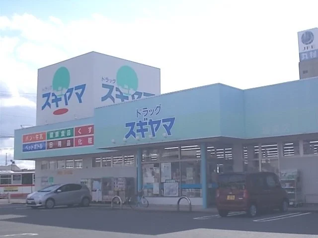 ドラッグスギヤマ城東店まで300m