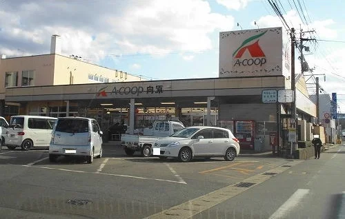A-COOP 向原店まで1000m
