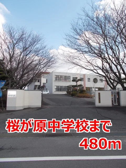桜が原中学校まで480m