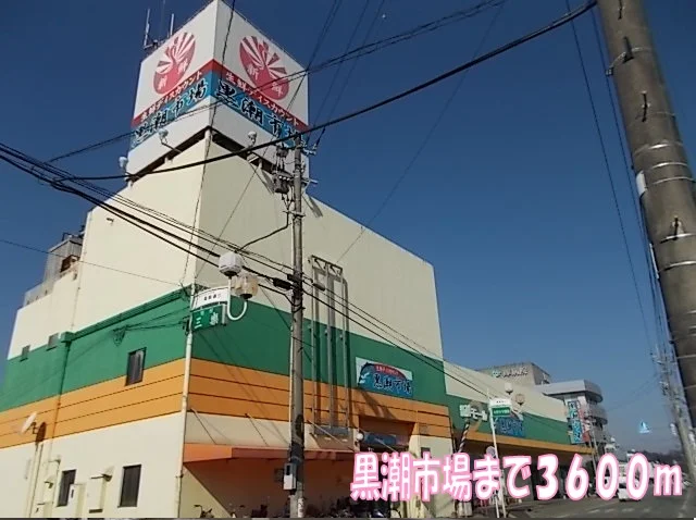 黒潮市場まで3600m