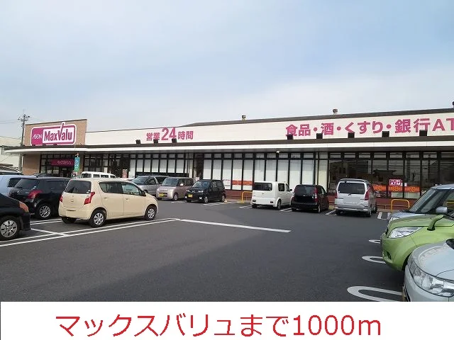 マックスバリュまで1000m