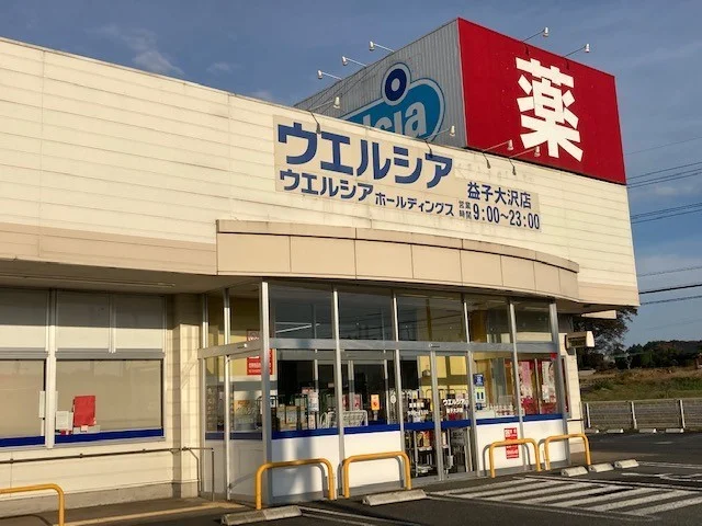 ウエルシア　益子大沢店まで300m