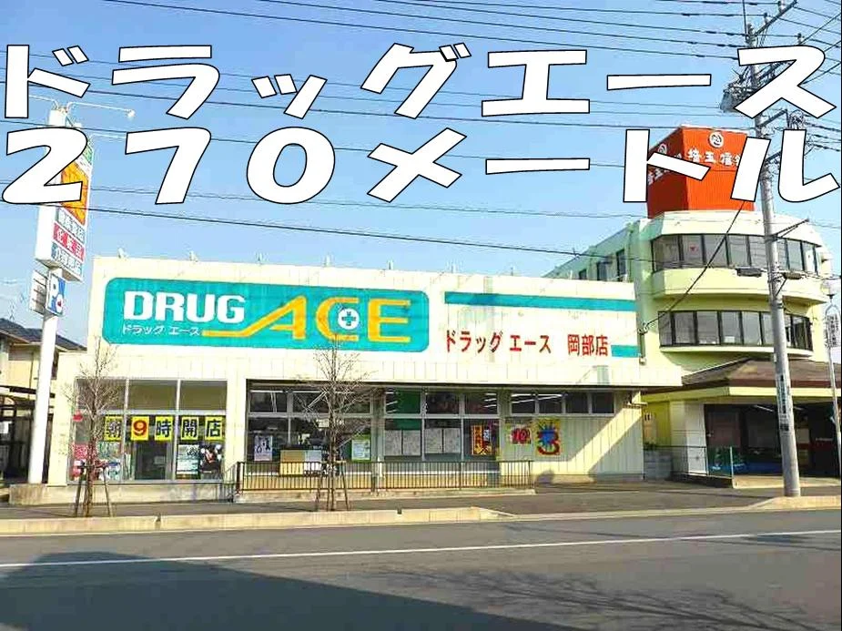 ドラッグエースまで270m