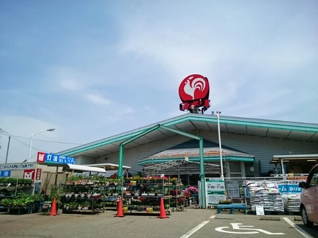 コメリ 小池店まで1200m