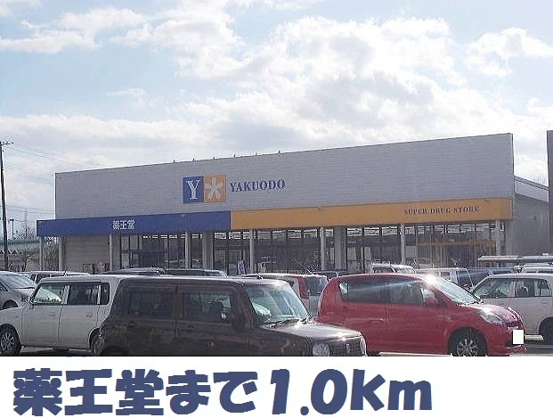 薬王堂北上店まで1000m