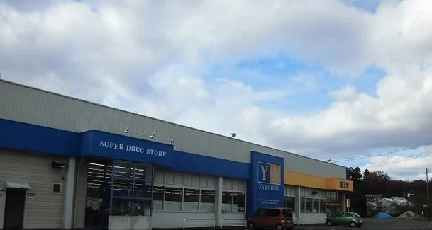 薬王堂北上村崎野店まで3400m