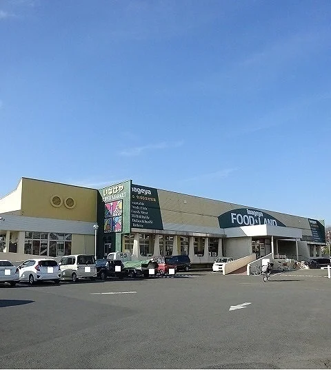 いなげやまで600m