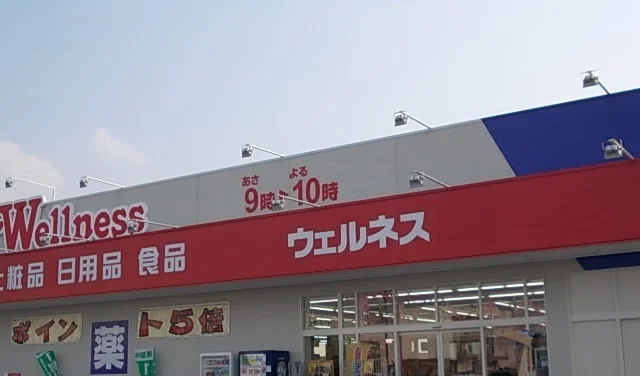 ウェルネス上福原店まで1700m