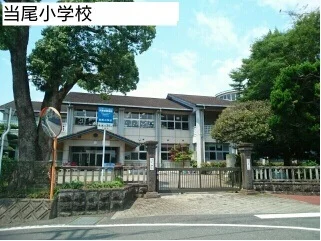 当尾小学校まで1030m