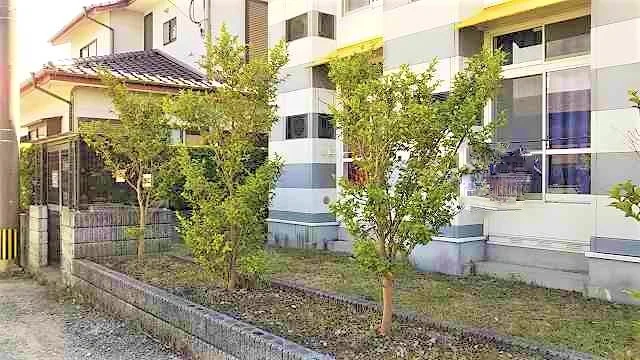 1Ｆ窓側の様子