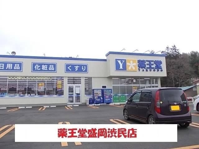 薬王堂盛岡渋民店まで300m