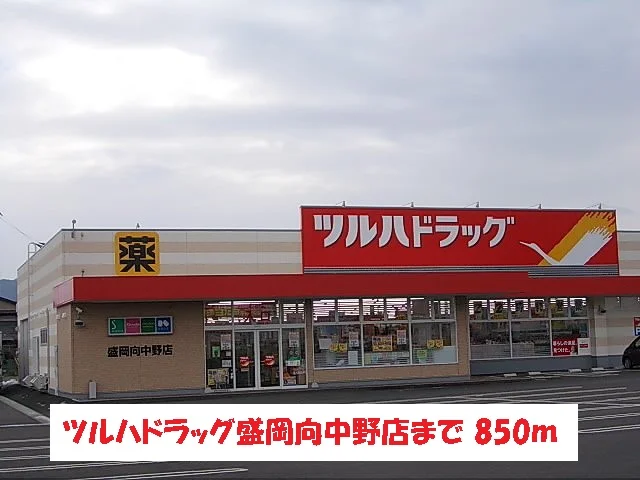 ツルハドラッグ盛岡向中野店まで850m