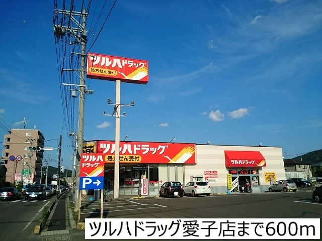 ツルハドラッグ愛子店まで600m