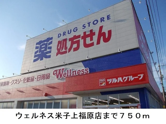 ウェルネス米子上福原店まで750m
