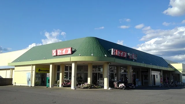 セイブ若松店まで1500m