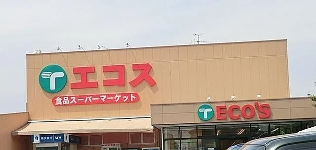 エコス城山店まで1000m