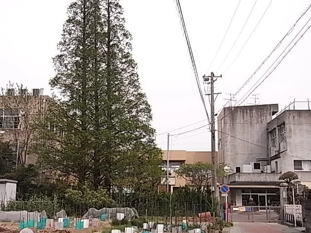 吉浜小学校まで170m