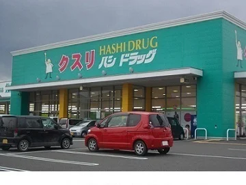 ハシドラッグ南福島店まで450m