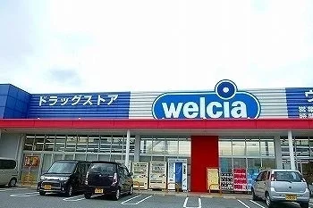 ウエルシア姫路大津店まで1100m