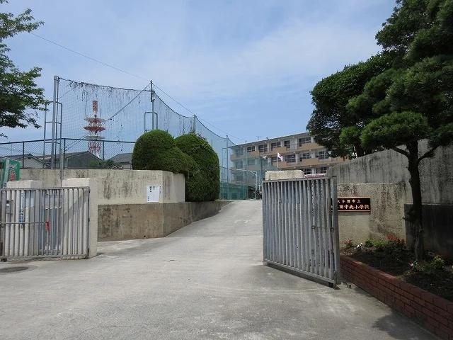 大牟田中央小学校まで750m