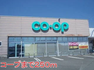 コープまで250m