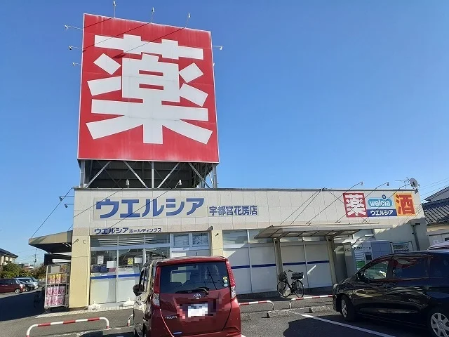 ウエルシア宇都宮花房店まで700m