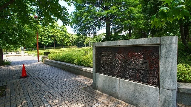 青葉の森公園まで600m