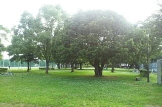 大岡公園まで350m