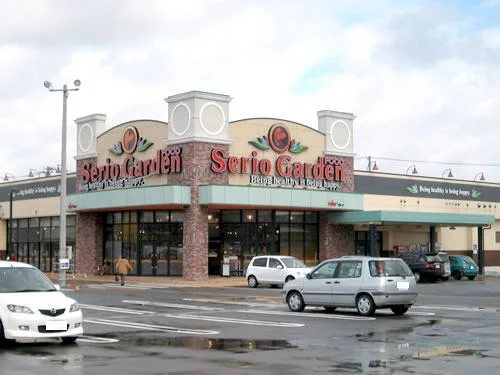 セリオガーデン 三国店まで550m
