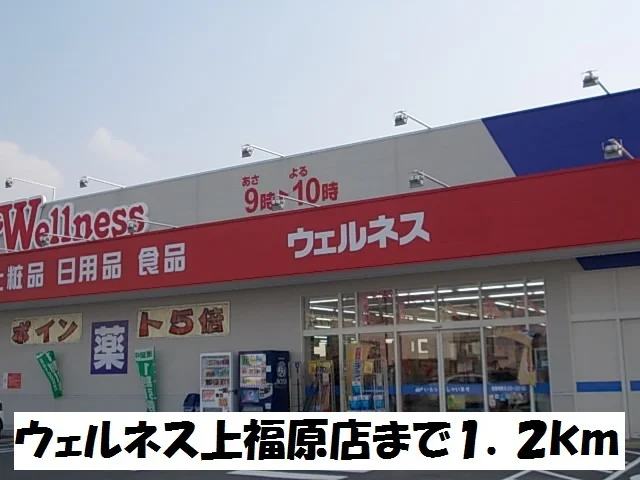ウェルネス上福原店まで1200m