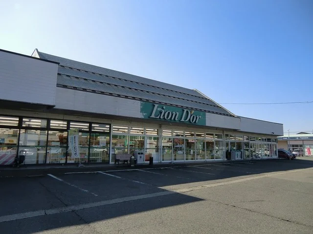 リオンドール年貢店まで700m