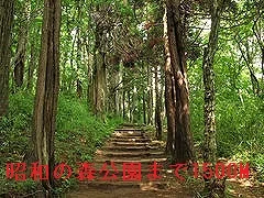 昭和の森公園まで1500m