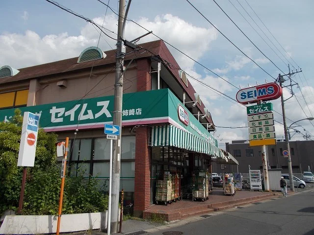 ドラッグセイムス姉崎店まで1100m