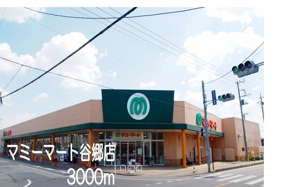マミーマート谷郷店まで3000m