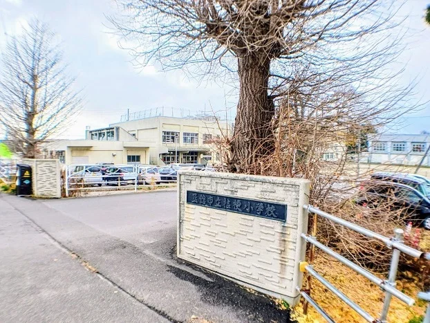 函館市立桔梗小学校まで300m