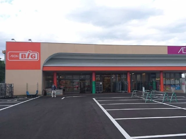 ザ・ビッグ北中込店まで800m